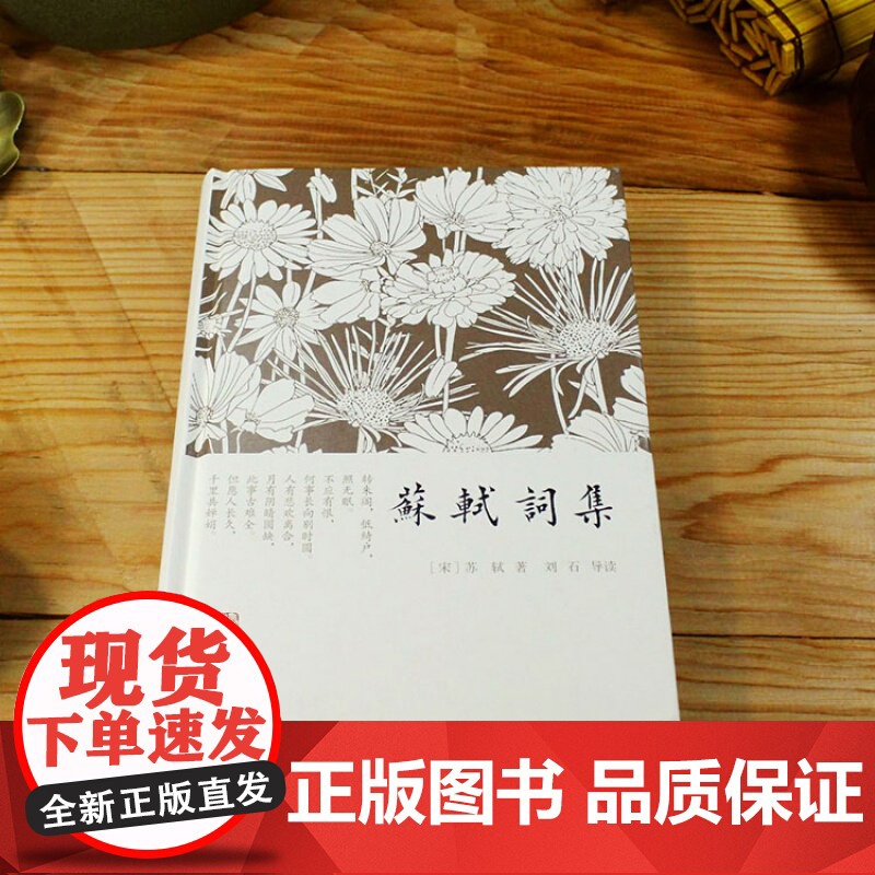 苏轼词集 精装小词集 [宋]苏轼 著 刘石 导读 简单注释 宋词 正版图书籍 上海古籍社 世纪出版高清大图