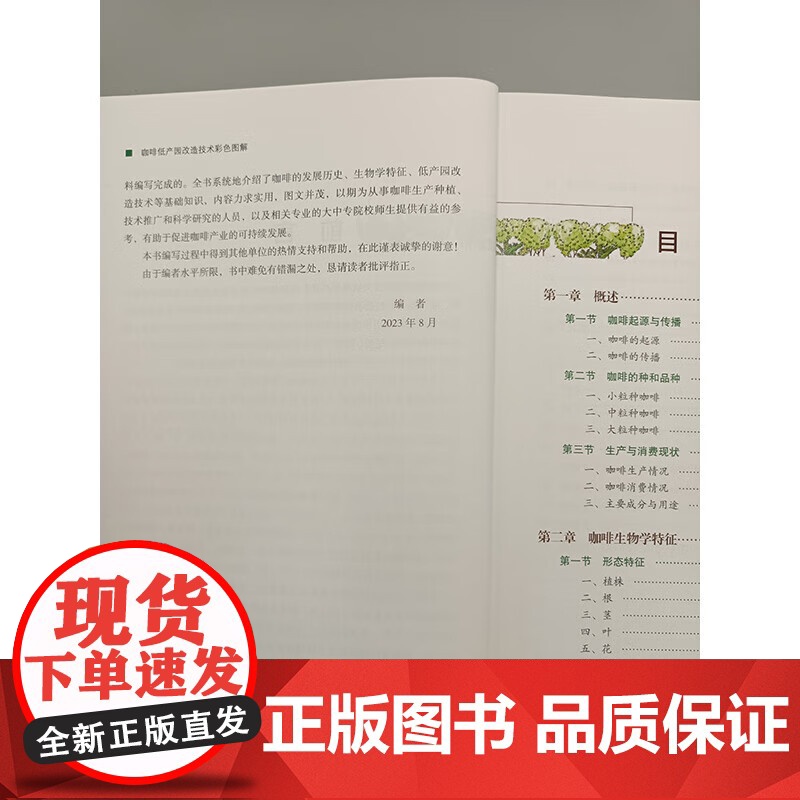 咖啡低产园改造技术彩色图解 孙燕,张昂,董云萍主编 中国农业科学技术出版社9787511666208高清大图