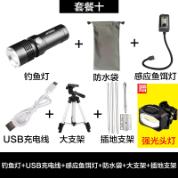 夜钓灯钓鱼灯紫光台钓超亮氙气大功率鱼灯蓝光电筒强光1000W夜光 NPWQNQNGKZTHAVLSZHHURIBMYOY H2四光源大支架+插地套餐赠头灯感应饵灯备用电池