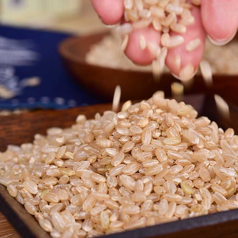 陇间柒月健康礼硒米礼盒富硒地大米长粒香米硒米500g糙米500g