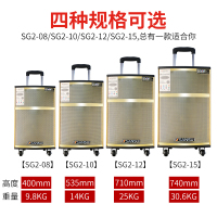 山水SG2-15 户外广场舞音响移动便携式拉杆音箱大功率重低音舞台演出直播带无线蓝牙话筒木质专业音箱15寸