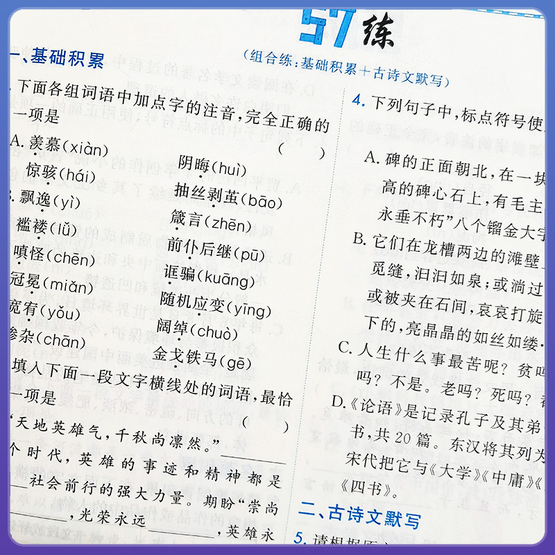 [基础知识强化训练]中考语文 九年级/初中三年级 [正版]2025一飞冲天初中中考语文基础知识强化训练初三9年级上下册天