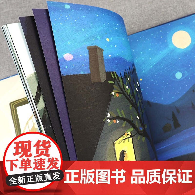 正版图书 在爱的怀里(魔法象·图画书王国) 陈赛 译者卤猫绘者著者[英]道恩凯西 9787559836878高清大图