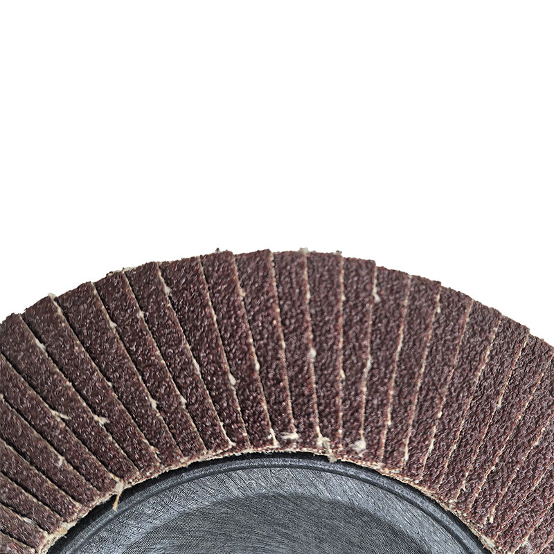 言臻 百叶轮 180*22mm 片高清大图