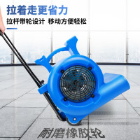 舒蔻(Supercloud)舒蔻吹地机厕所地面吹干吹风机大功率地板工业商用地毯烘干风干智能定时臭氧净化 SK-800G