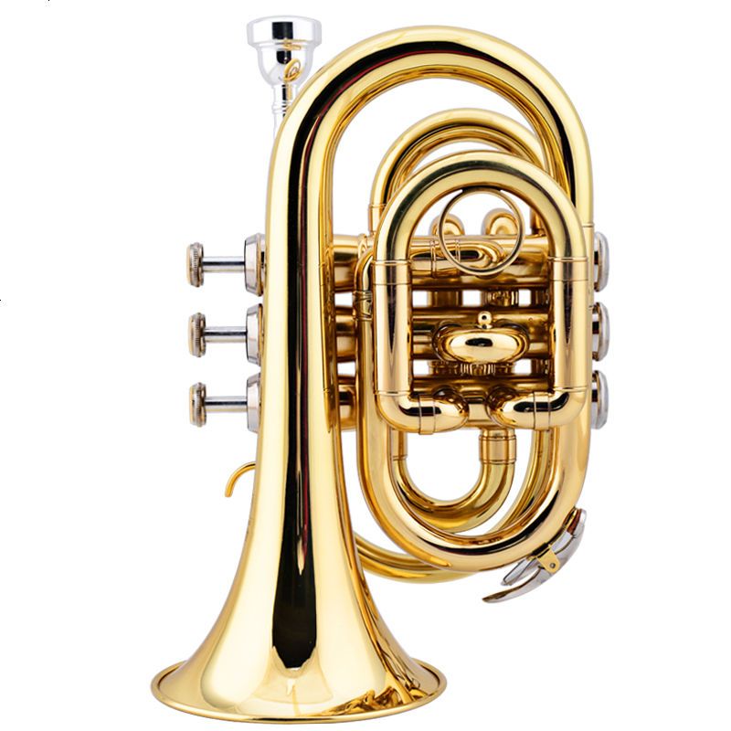 美国JAZZOR 爵士朗 手掌号便携式小号降B调袖珍短号铜管乐器新品