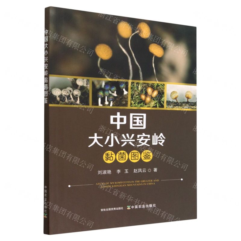 【N】中国大小兴安岭黏菌图鉴-9787109304222