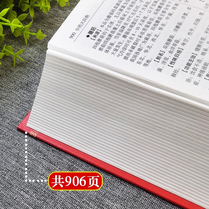 [正版] 中药大辞典 精装版全套 原版 中药学书籍词典 辞典中药书中药材中药字典中医药大词典药学医学工具书药膳大辞典剂
