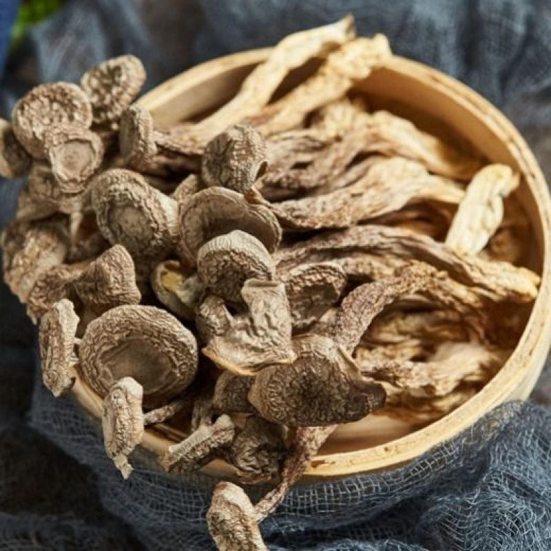 新全新鹿茸菇100克/袋高清大图