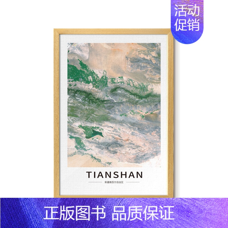 [43*63cm]天山 [正版]北斗卫星影像图框挂画 客厅卧室办公室墙面装饰框画图 沙发背景墙壁画 武汉市天山雅鲁藏布大