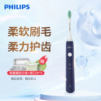 飞利浦(PHILIPS) 电动牙刷 成人声波震动牙刷 净力刷 2种模式 温和清洁 蓝色 HX2431