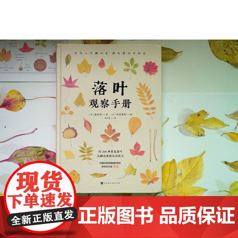 落叶观察手册 安田守 著 科普读物高清大图