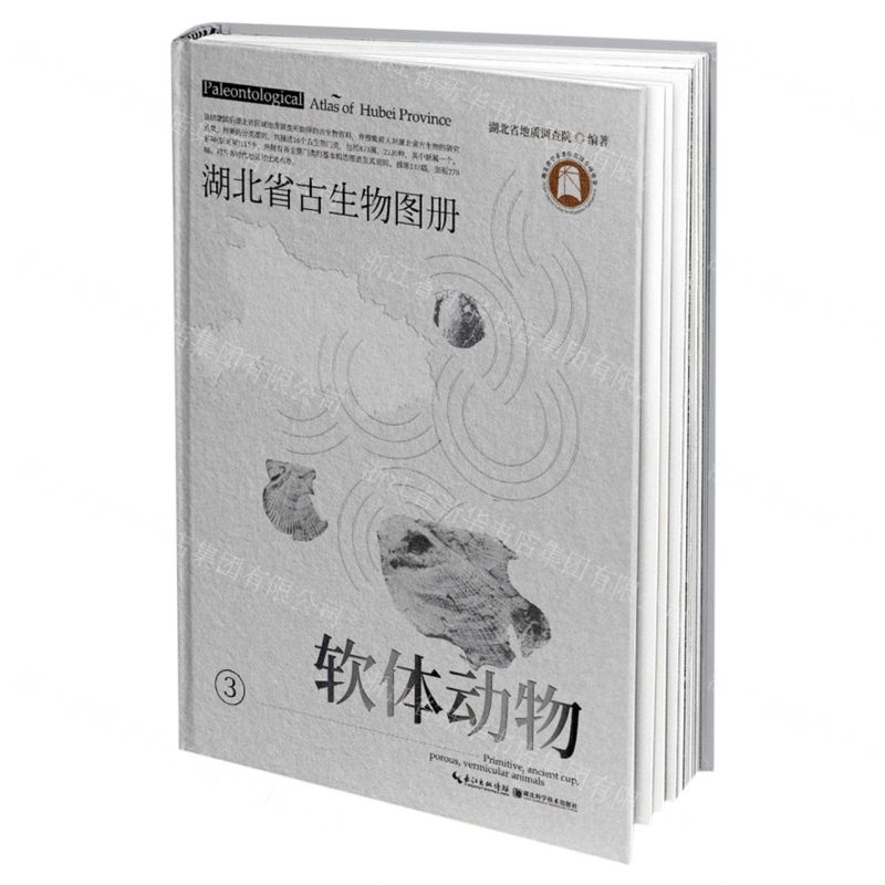 【N】湖北省古生物图册(3软体动物)(精)-9787570606115