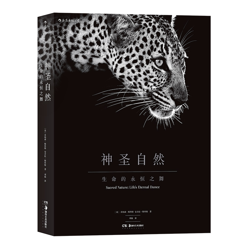 处理不粘页100多幅塞伦盖蒂大草原生命之舞非洲动物人像摄影>800_800