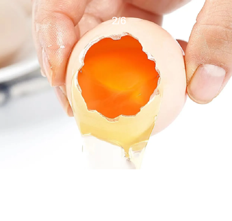 芮瑞正宗山林散养谷饲喂养虫草鸡蛋 10枚装 商品不支持无理由退款 不支持拒收高清大图