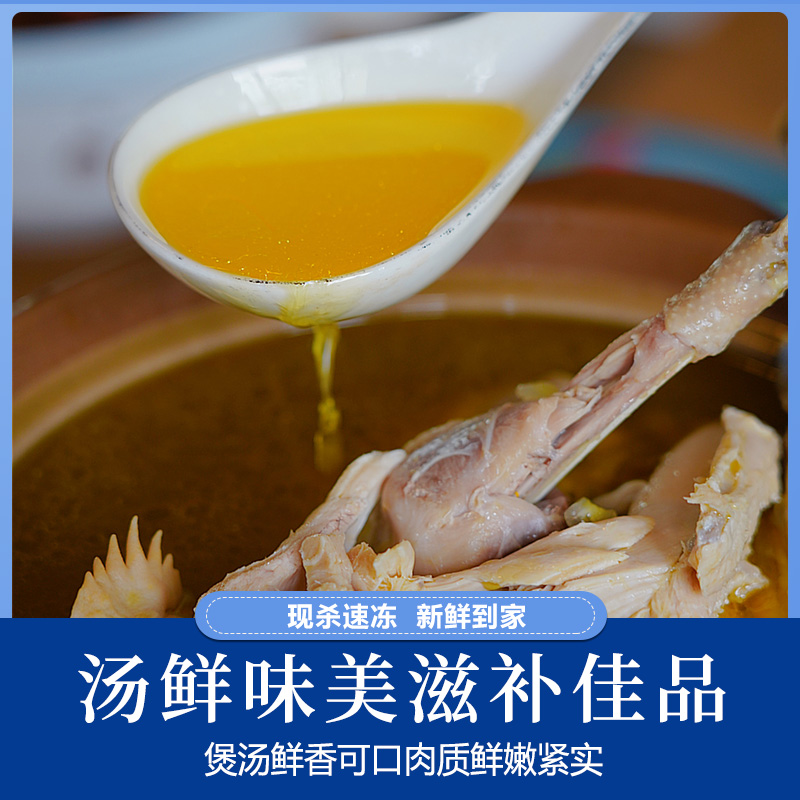 蛋鲜森400天黄油老母鸡1100g±100g/只 顺丰源头直发 黄油老母鸡 1只装高清大图