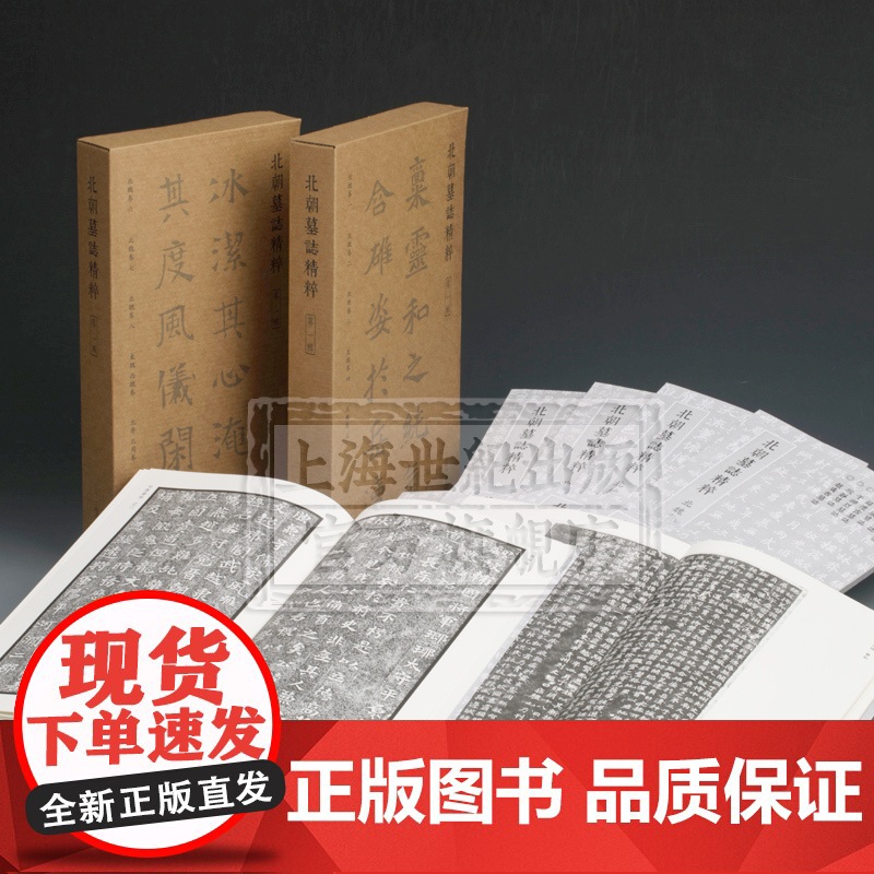 北朝墓志精粹系列全二辑 篆刻书法碑帖毛笔字临摹字帖 北朝墓志精粹第一辑/北朝墓志精粹第二辑 上海书画出版社高清大图