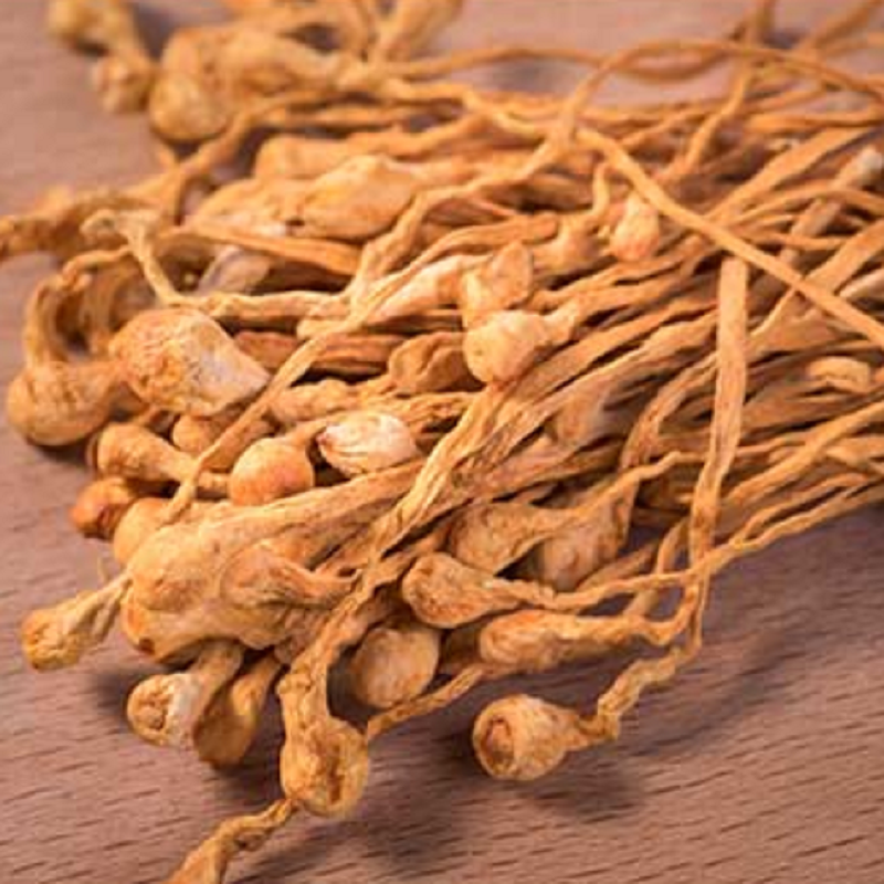 蕴康祥缘无熏硫虫草花干货 农家直采菌菇 煲汤炒菜滋补食材高清大图