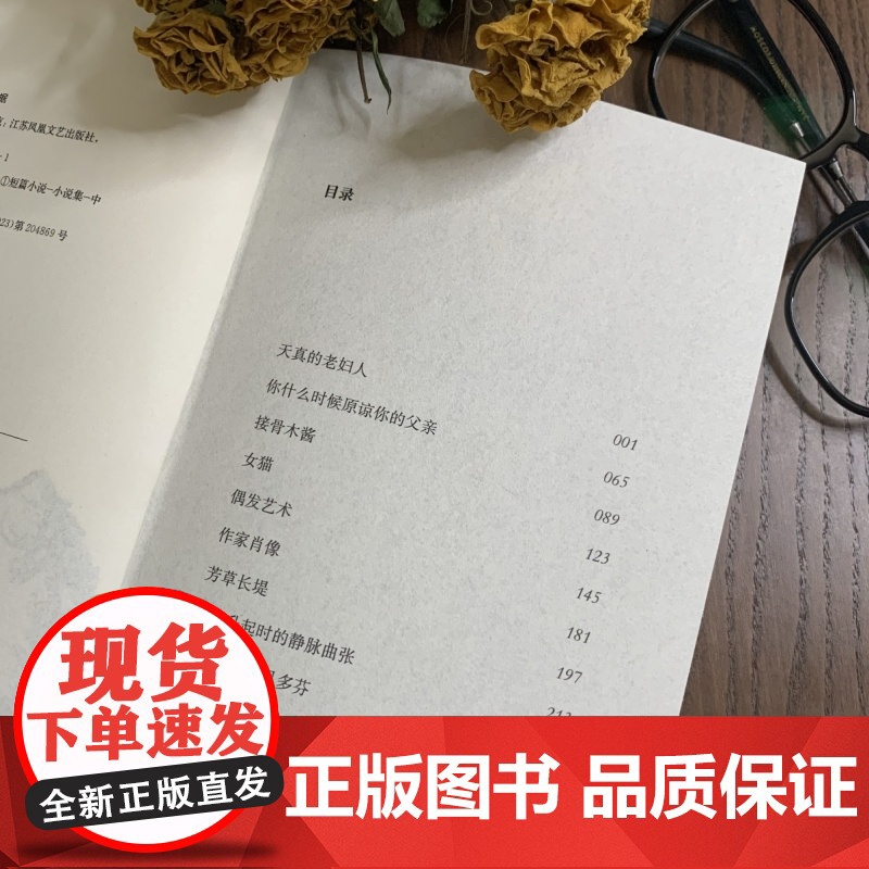 女猫 人民文学奖得主盛可以 全新短篇小说集 10种绝境中的人生故事仿佛10张捕捉情感危机的快照 看似安静 实则如火山般高清大图