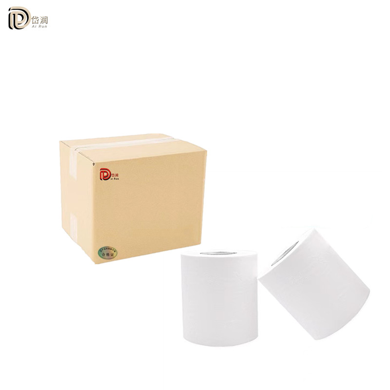 岱润 卷纸 10卷/提 袋 一次性纸高清大图