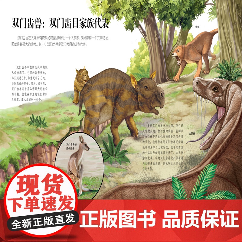 生命简史 穿越地球46亿年 有袋类和灵长类动物 6-12-15岁儿童中小学生青少年科普读物 宇宙起源地球形成生命诞生史前高清大图