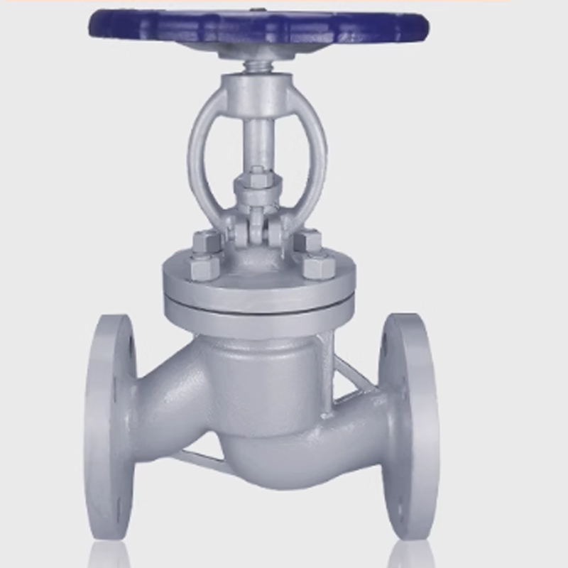 小窝厘 瑞霖洋截止阀J61Y-64/DN50