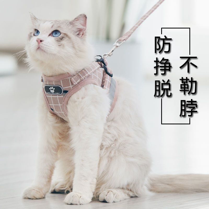 猫咪牵引绳猫链子防挣脱可调节背心式溜猫绳子外出专用遛猫绳用品报价