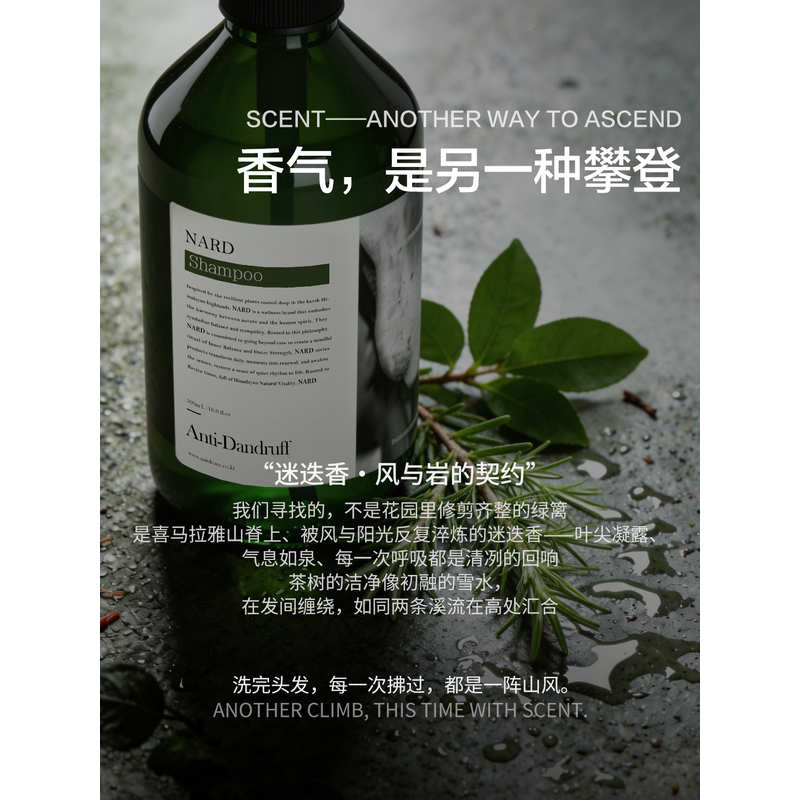 纳特丽负离子直发梳智能控温防烫护发造型美发梳轻巧便携快速顺滑高清大图