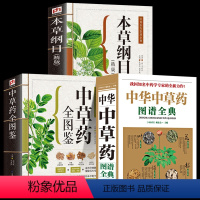 [正版]全3册 全图鉴中华中草药图谱全典+中草药全图鉴+本草纲目 中国中草药实用指南中医学草药书本草纲目千金方汤头歌诀
