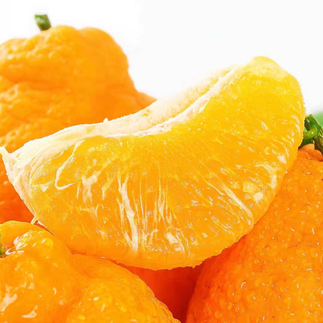 [[鲜贝达]不知火丑橘5斤装70mm以上 丑桔 丑橘子 新鲜水果高清大图