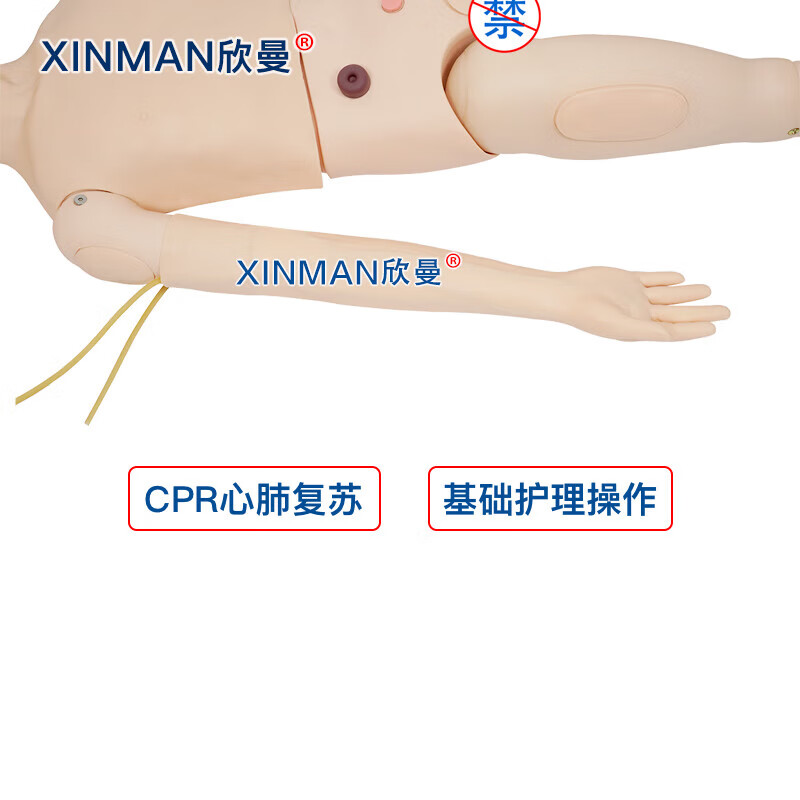 欣曼科教 高级成人护理及CPR模拟人 全功能护理人模型XM-HL3000高清大图