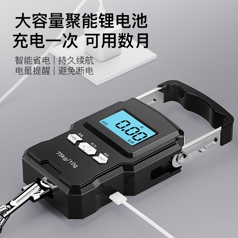 精准迷你手提电子秤50kg便携式高精度家用快递称挂钩称小型手拿秤高清大图