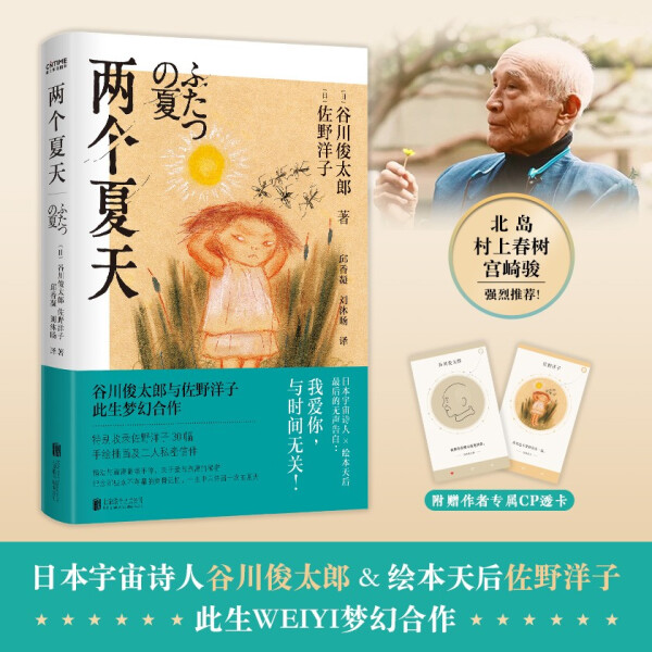 [正版]新书 两个夏天(精装)新视角图书专营店高清大图