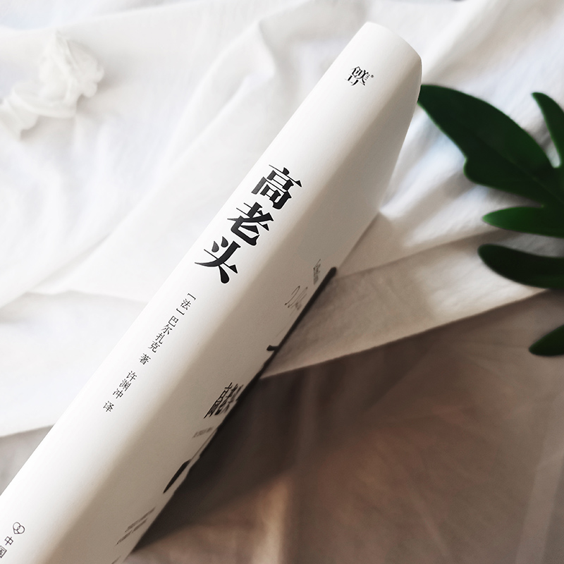 醉染图书高老头9787505734661高清大图