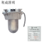 利成照明 防眩泛光灯 LC1210-150