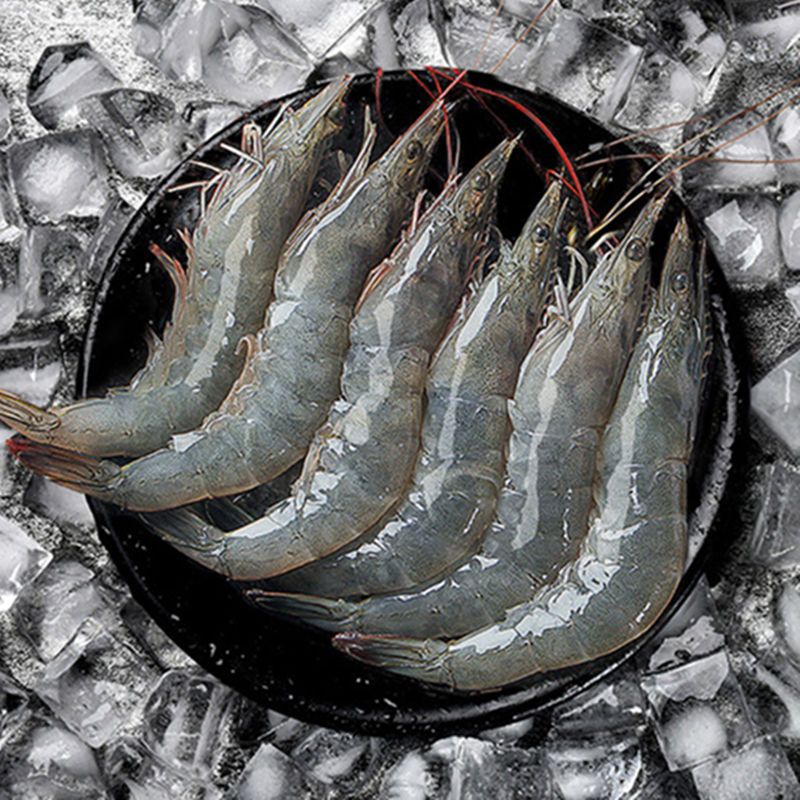 小号海虾1114cm海虾装新鲜大虾对虾基围虾活体鲜冻虾大个海虾新鲜海鲜