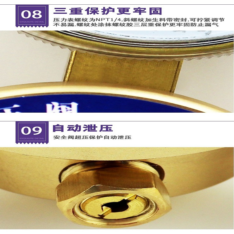 钢盾 氮气减压阀YH12X-1T 全铜氮气减压器