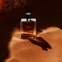 爱马仕(HERMES)大地淡香氛100ml男士淡香水 香水木质/ 大地淡香水100ml