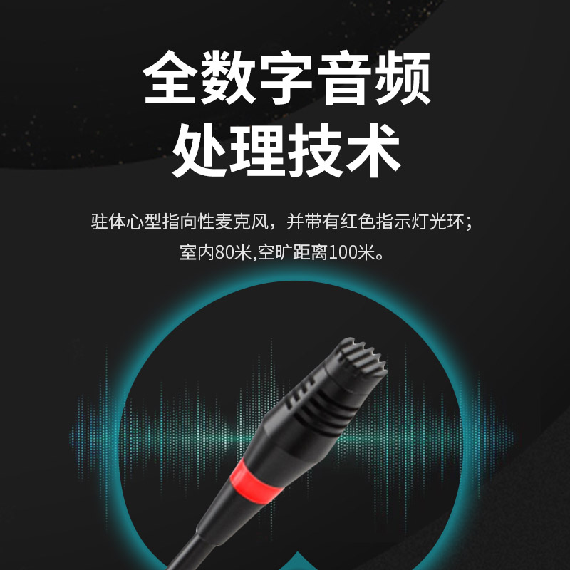 润普Runpu会议音频系统专业无线手拉手话筒一拖十桌面麦克风会议话筒RP-S10-WX9000高清大图