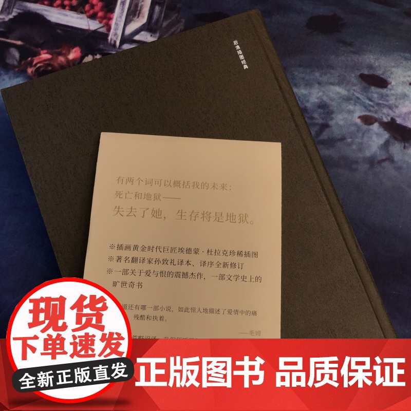 呼啸山庄正版珍藏版 文学名著书籍 外国现当代文学名家作品精选文学小说世界名著全集书排行榜人民文学出版社孙致礼后浪正版高清大图