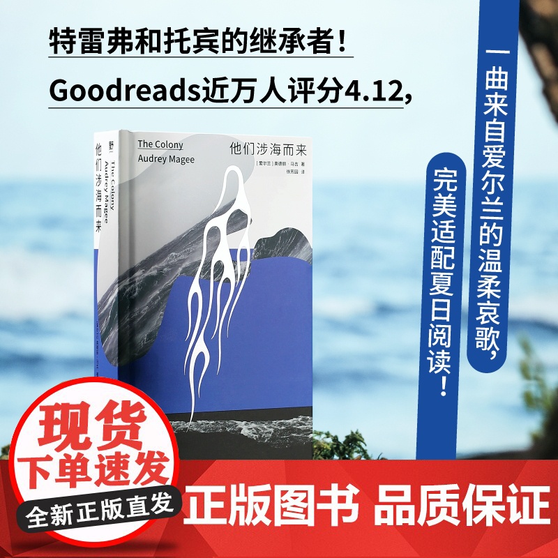 他们涉海而来 爱尔兰奥德丽马吉广西师范大学出版社高清大图