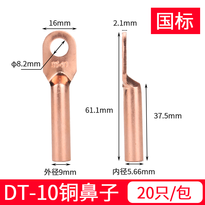 国标铜鼻子A级DT10-10(20只)