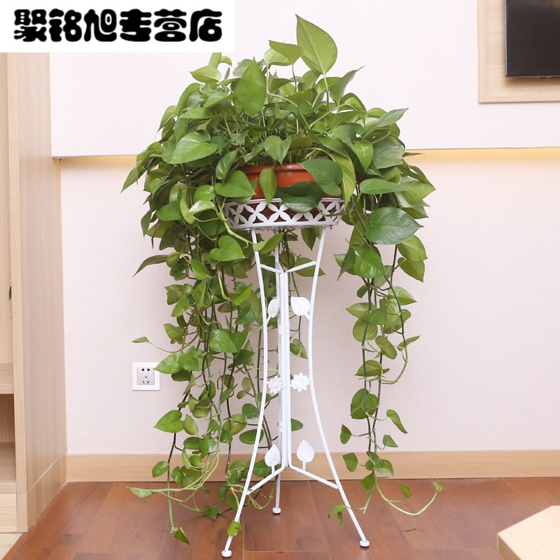 欧式铁艺花架多层落地式阳台客厅兰绿萝花架子室内花盆架子家居家用简约时尚多功能收纳架