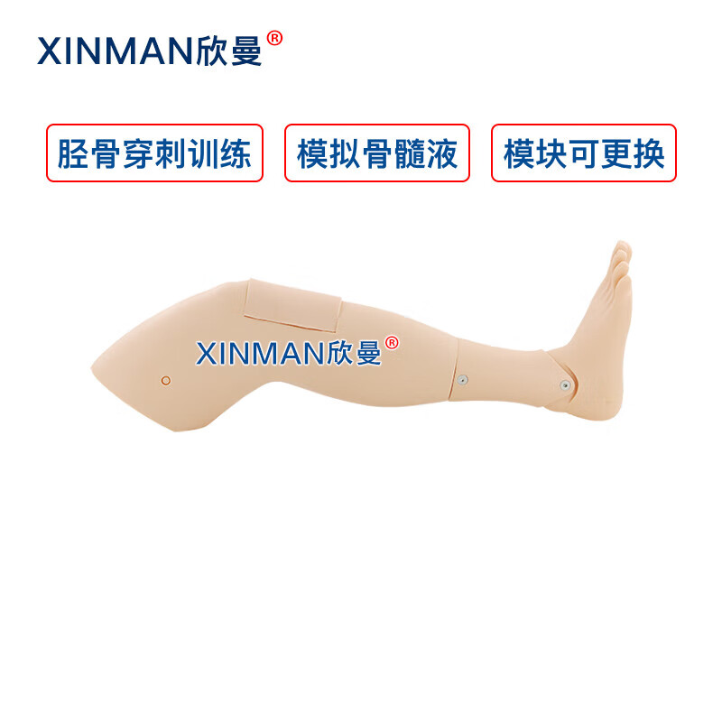 欣曼科教 胫骨穿刺训练模块 成人胫骨骨内穿刺输液训练模型XM-GC3高清大图