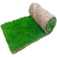 吉迎尚品 真草坪绿化草皮草地 ZSH 平方米