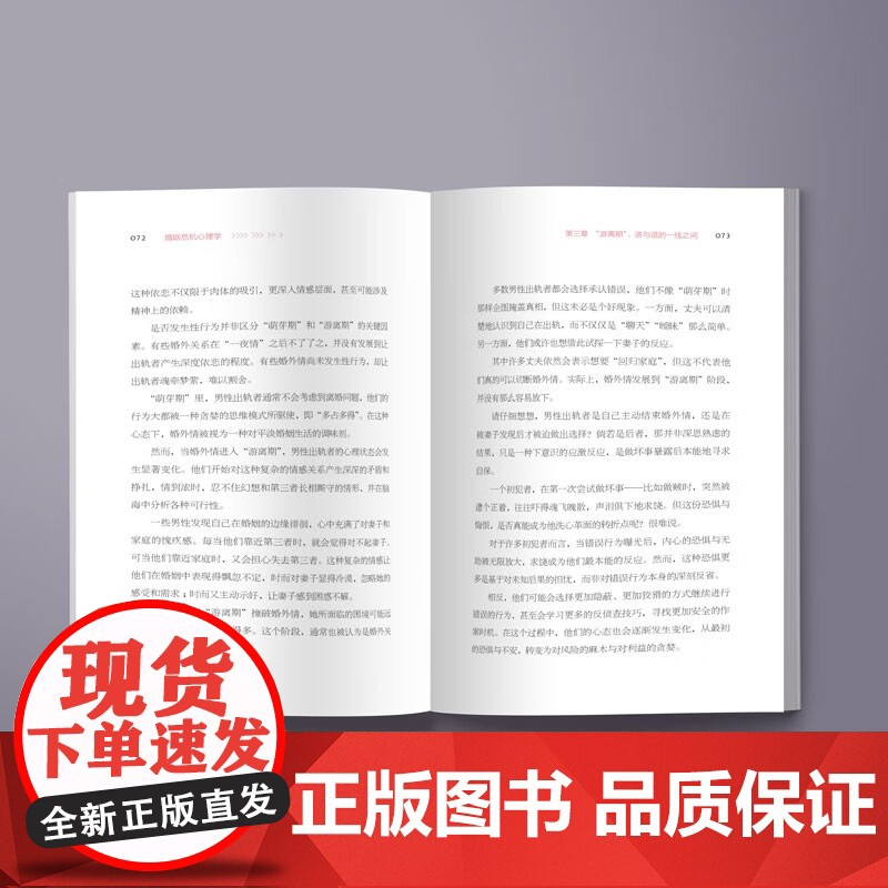 婚姻危机心理学 乐子丫头 著 婚恋与两性高清大图