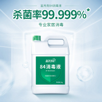 蓝月亮 84消毒液 5kg*1瓶 消毒水 杀菌率99.999% 家庭果蔬玩具宠物用品等多用途可用