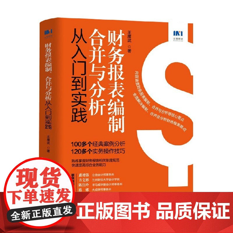 财务报表编制 合并与分析从入门到实践 王鹰武 著 经济高清大图