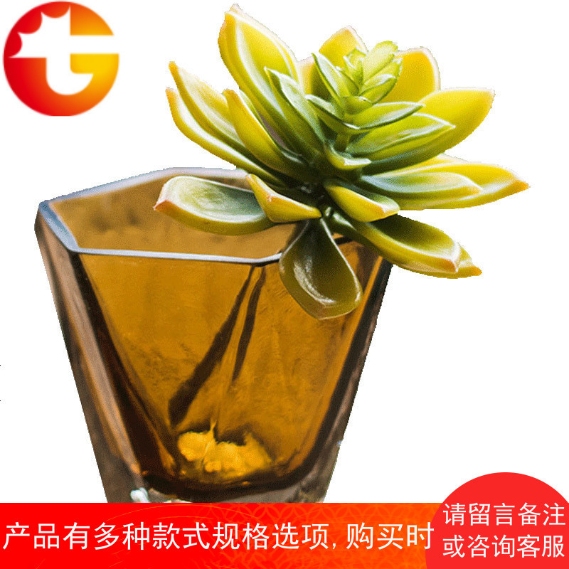 石莲花 石竹 观音莲 佛手莲 芦荟仿真多肉植物绿植小盆景