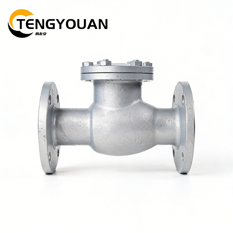 腾友安铸钢止回阀DN65/个高清大图